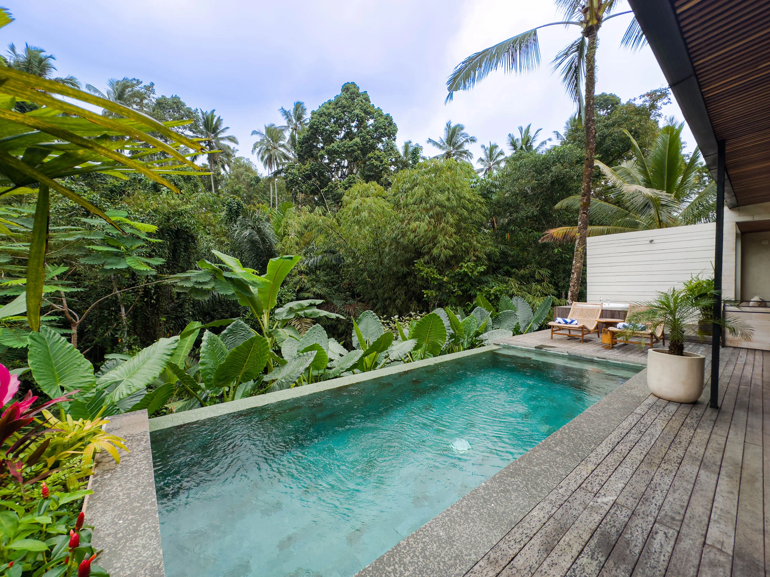 batukaru-pool-09012026-1